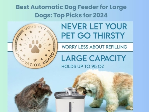 Best Automatic Dog Feeder for Large Dogs Top Picks for 2024